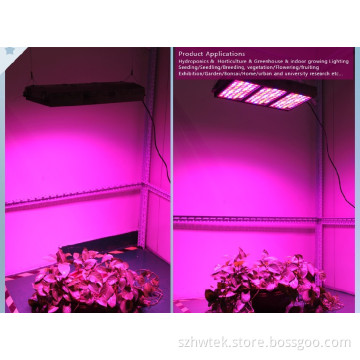 Hot Selling Growmax LED Hydroponic Lighting Veg and Flowering